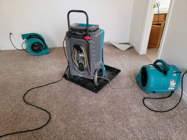Best Water damage repair service  in Gibson, AR