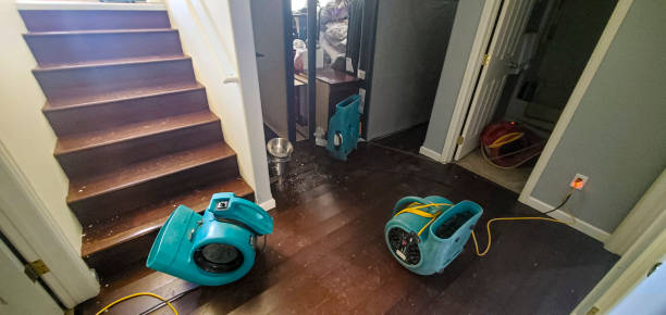 Best Carpet water damage restoration  in Gibson, AR