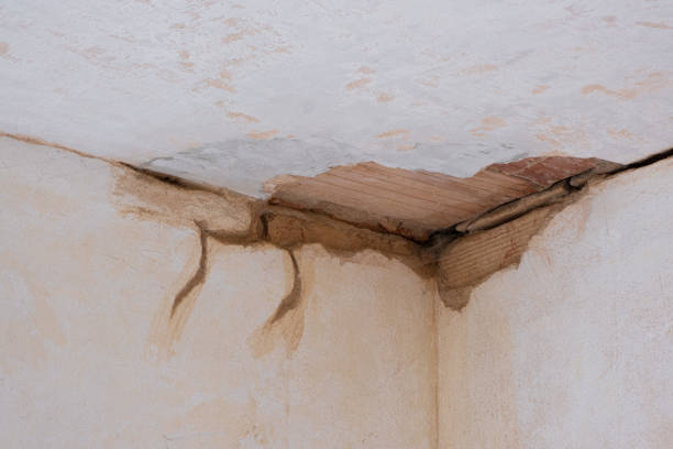 Best Flooded house restoration  in Gibson, AR