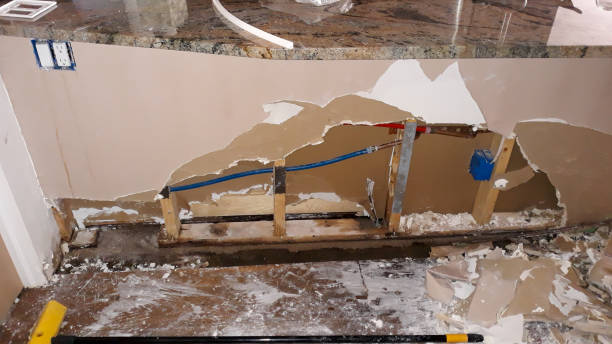 Best Local water damage restoration  in Gibson, AR