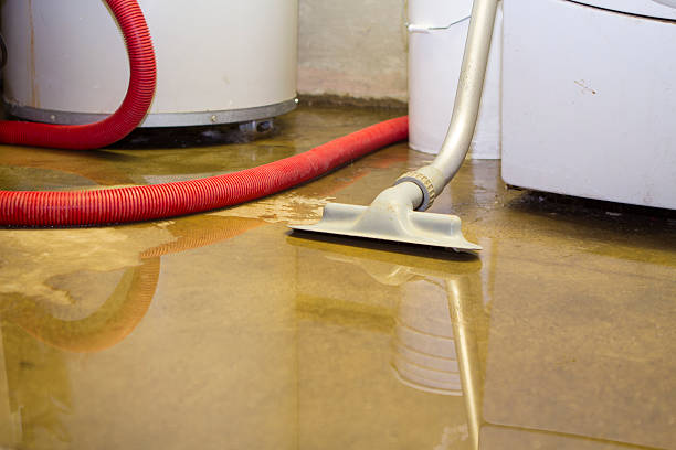 Best Commercial water damage restoration  in Gibson, AR