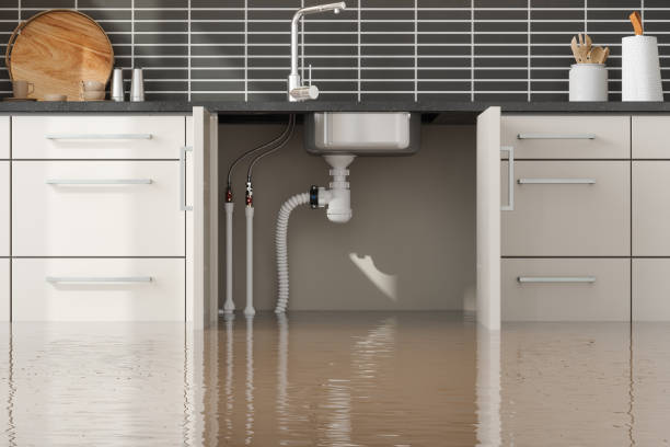Best Water damage cleanup near me  in Gibson, AR