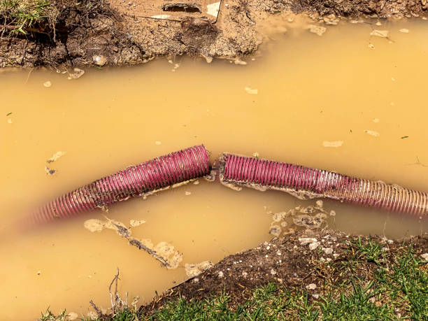 Best Flood restoration services  in Gibson, AR